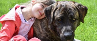 Top kindest dog breeds in the world