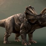 Triceratops: description of the dinosaur with pictures