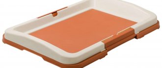 Toilet for dogs ZooOne Japanese style small 48x35x6 cm