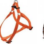 types of harnesses - what are they?