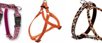 types of harnesses - what are they?