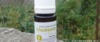 Vitamin-amino acid complex Chiktonik was developed by the Spanish company INVESA